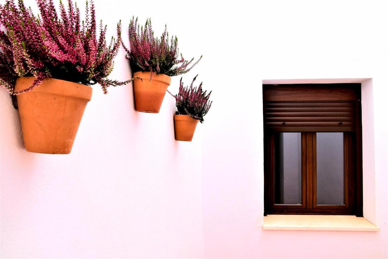 Apartamentos Turisticos Mamelon Херес-де-ла-Фронтера Екстер'єр фото